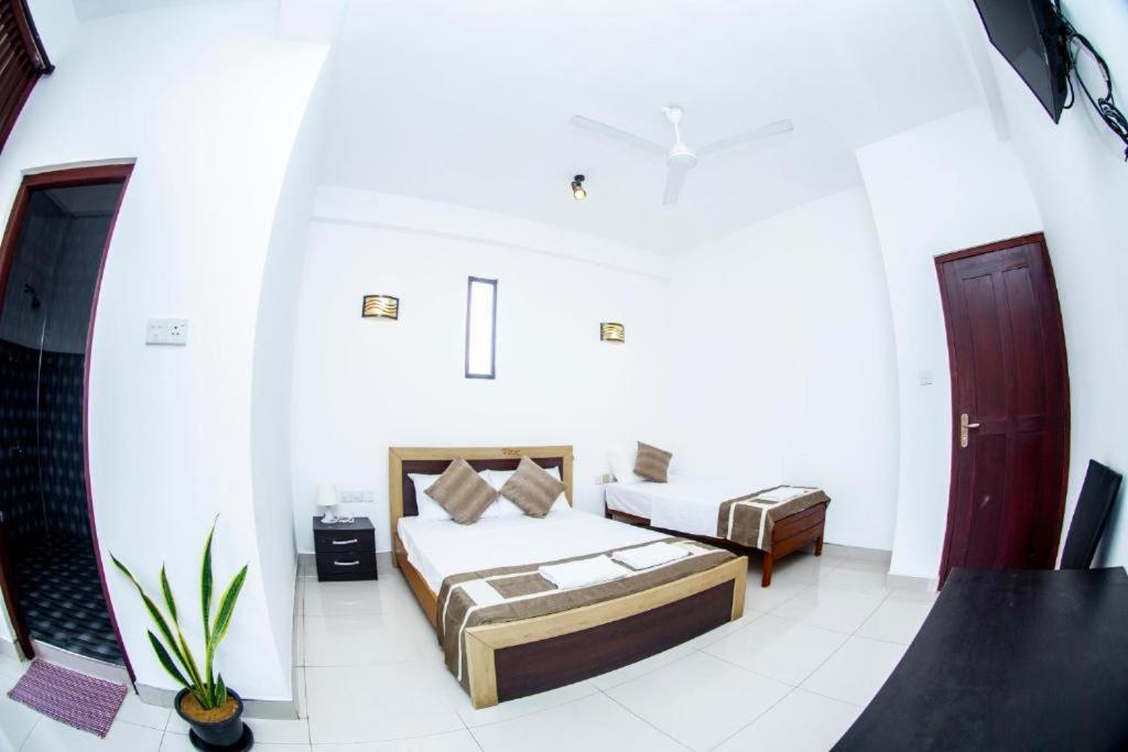Hotel Blue Bird Negombo Zewnętrze zdjęcie