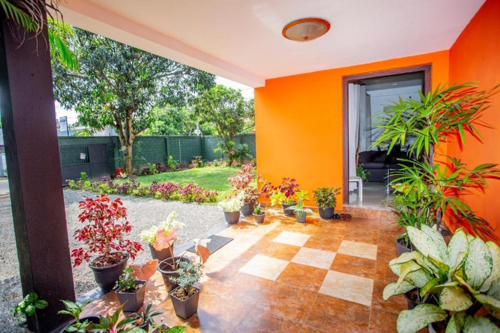 Hotel Blue Bird Negombo Zewnętrze zdjęcie