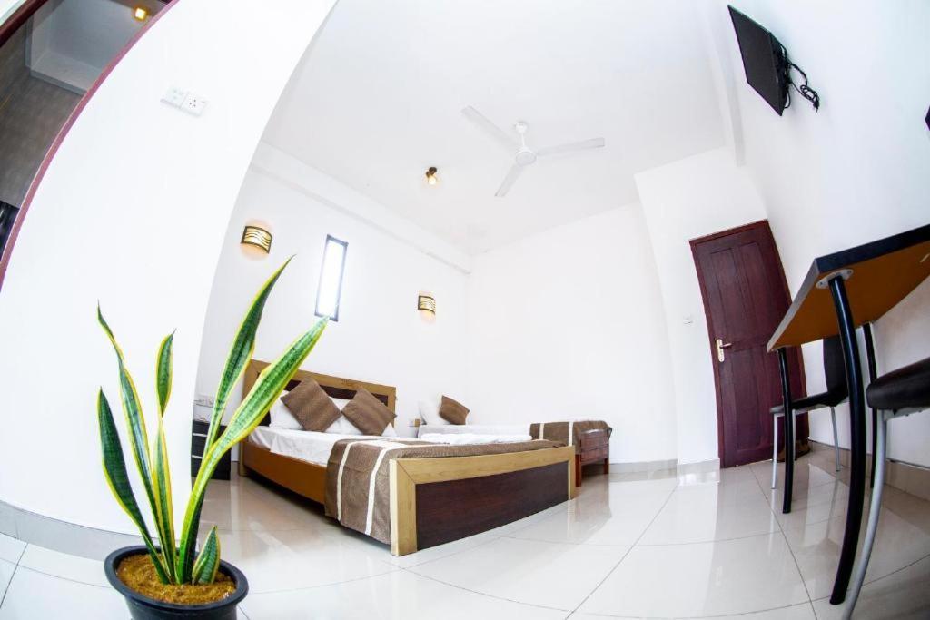 Hotel Blue Bird Negombo Zewnętrze zdjęcie