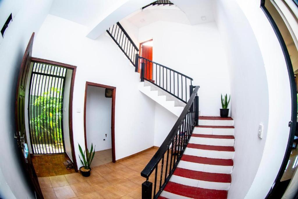 Hotel Blue Bird Negombo Zewnętrze zdjęcie