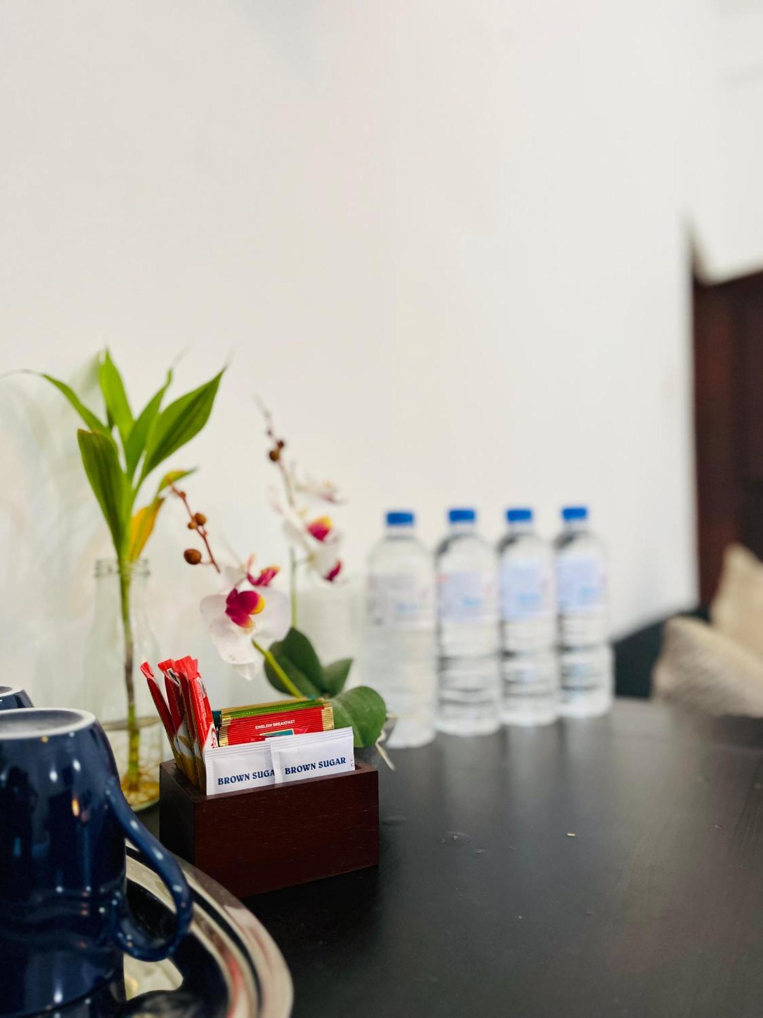 Hotel Blue Bird Negombo Zewnętrze zdjęcie